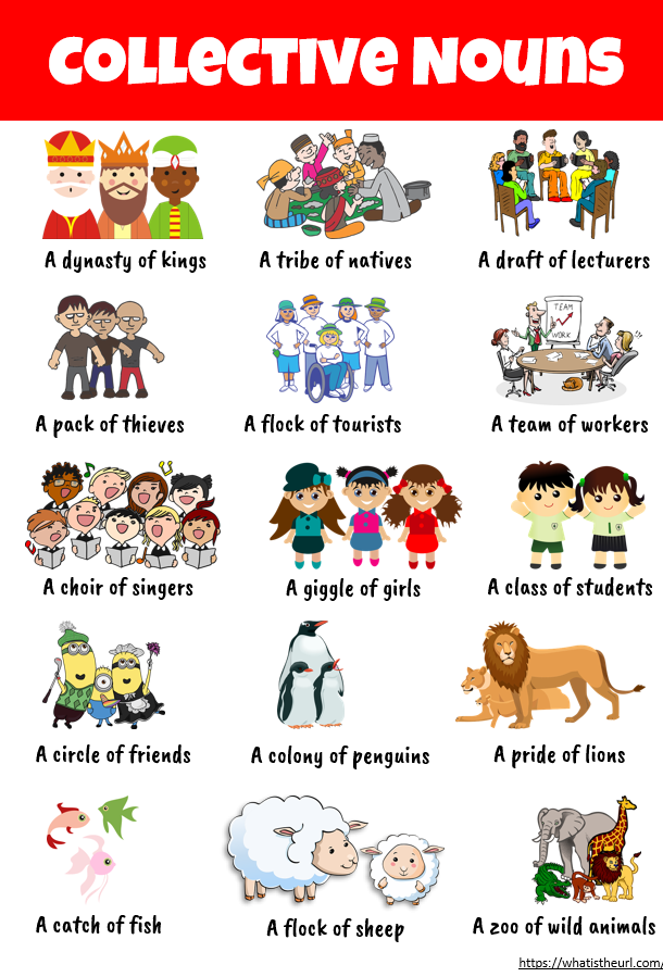 Chart on Collective Nouns - Your Home Teacher