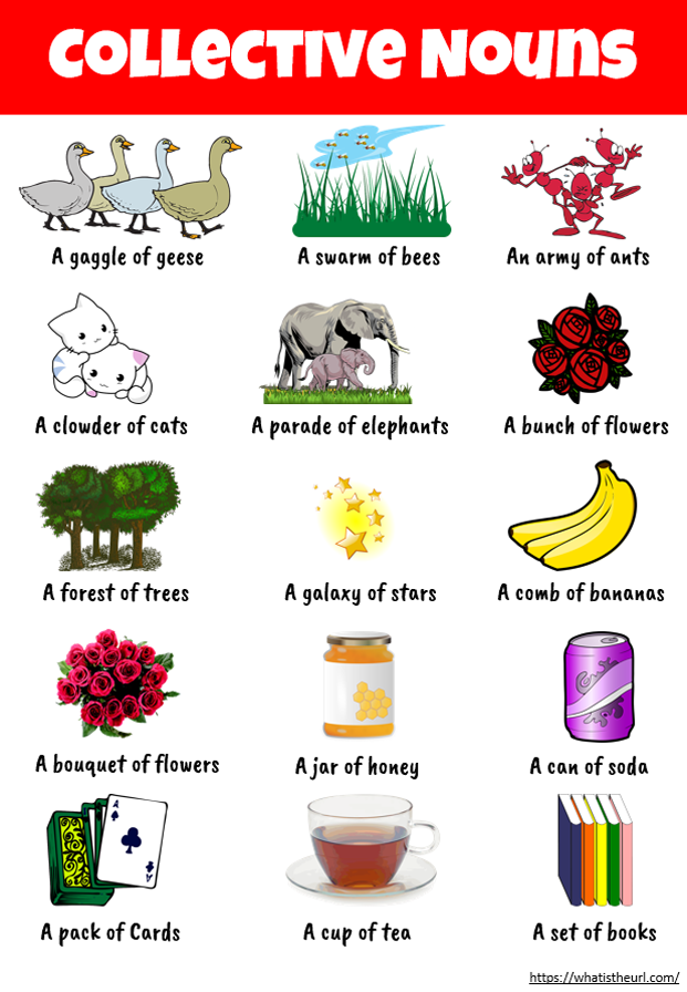 Printable Pictures Of Collective Nouns
