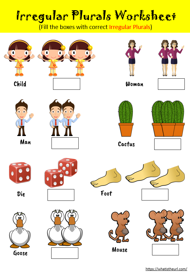 What Are Regular And Irregular Plural Nouns