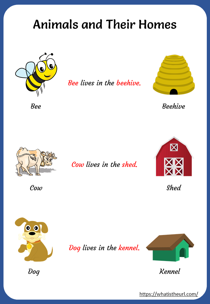 Printable Animals and Their Homes Worksheets - Your Home Teacher