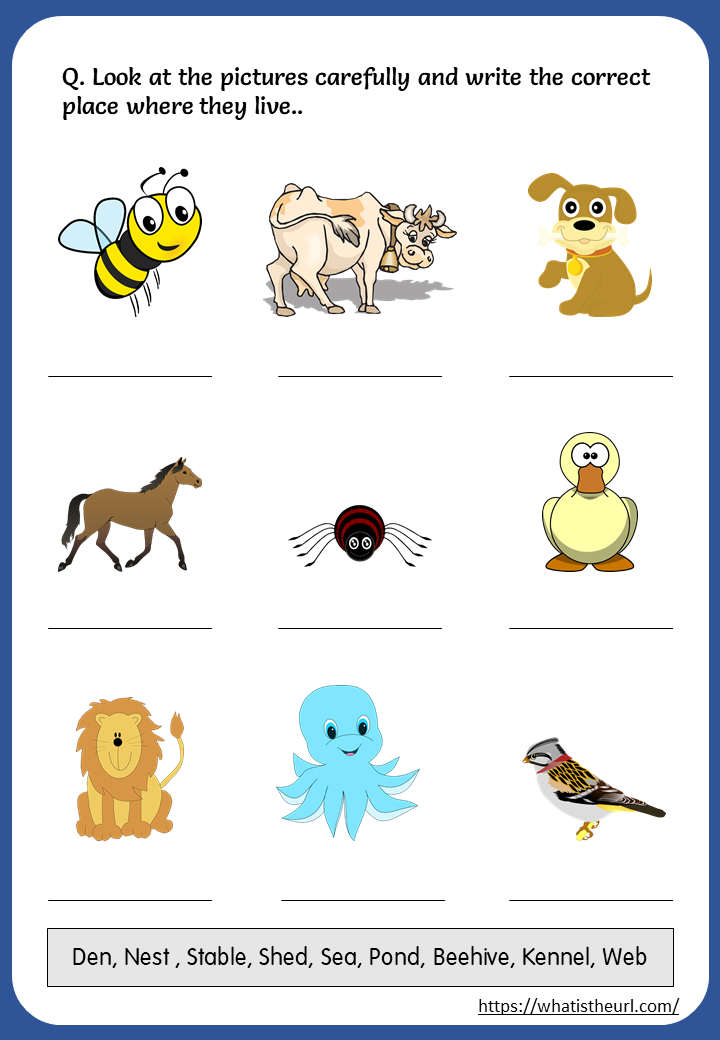 Printable Animals and Their Homes Worksheets - Your Home Teacher
