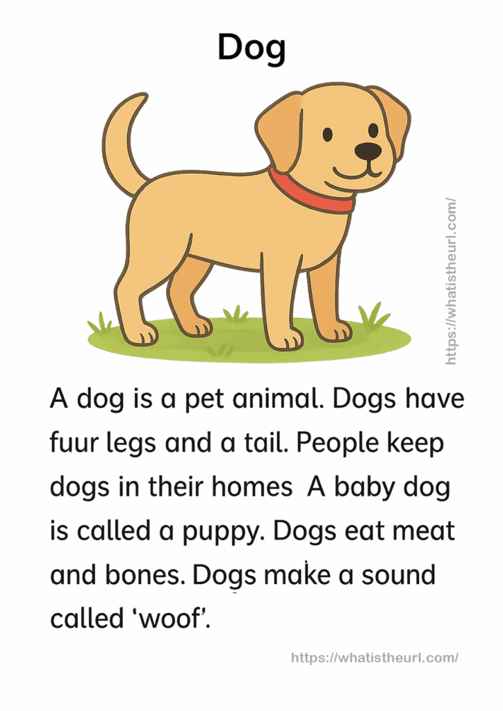 Dog - Reading Passage