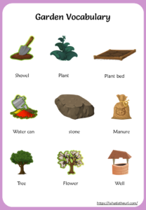 Garden Vocabulary Chart