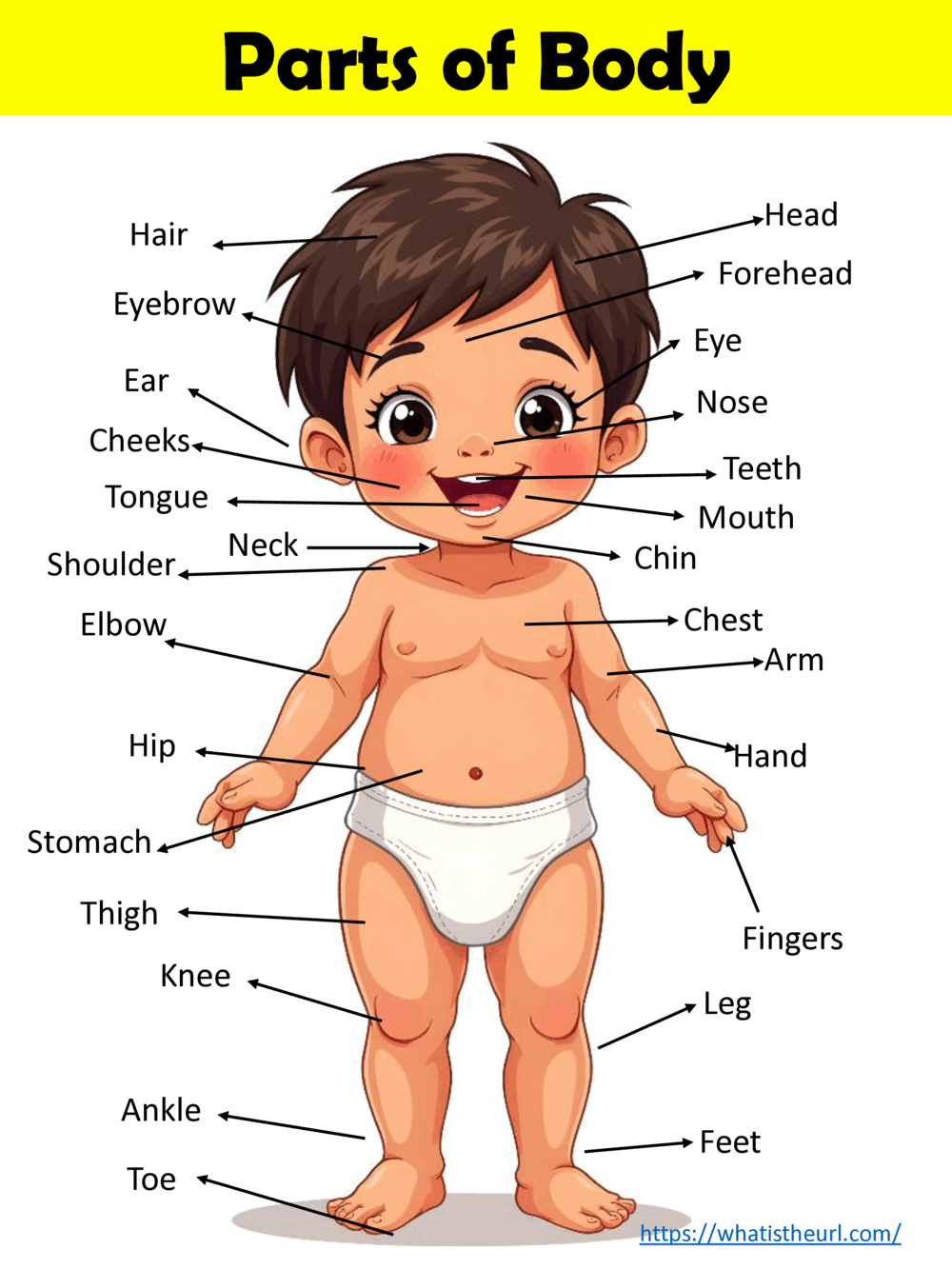 Set 3 of Parts of Body