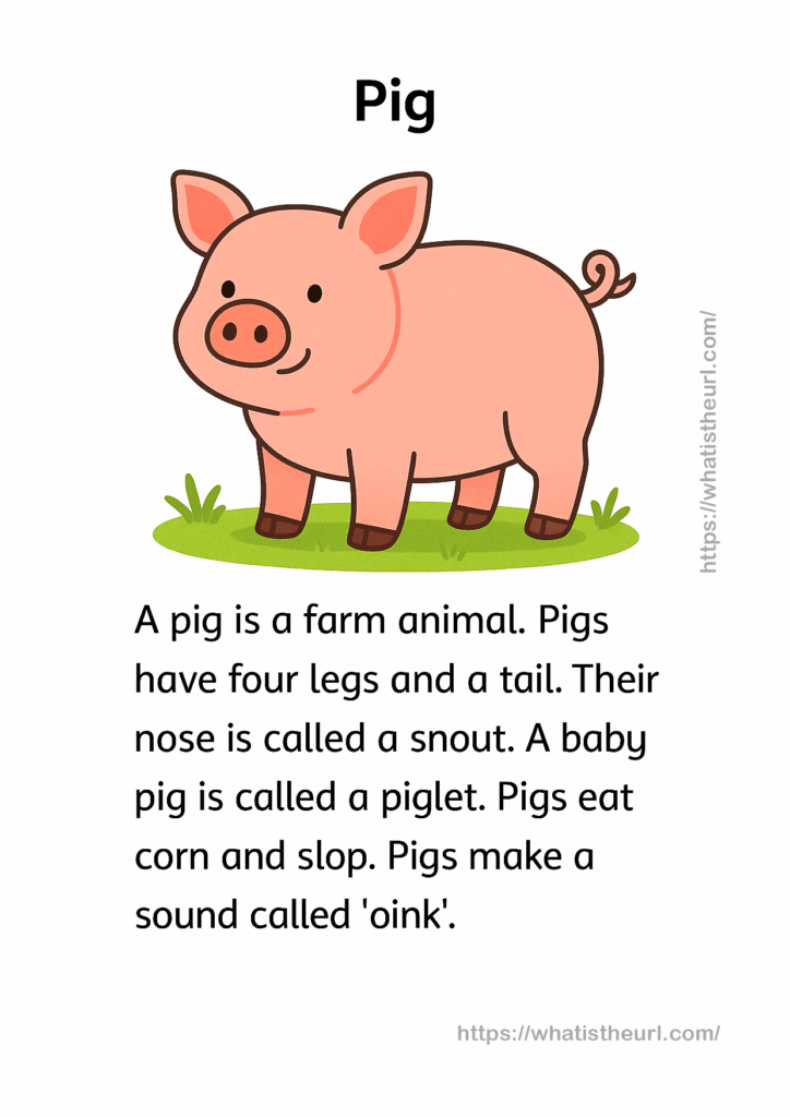 pig - reading passage