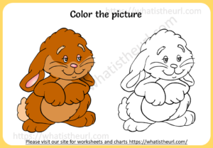 Coloring Book for kids