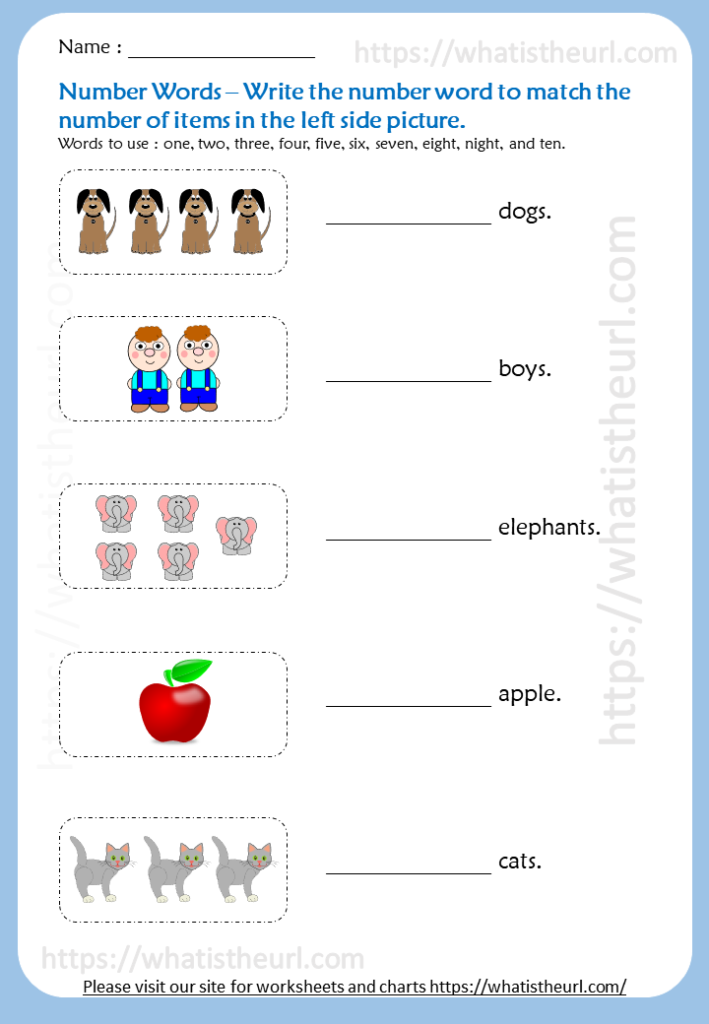 number words - write number words that match