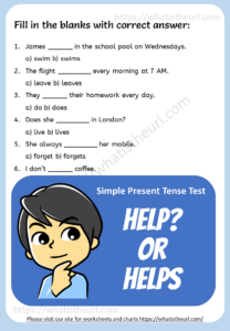 Test on Present Simple Tense Worksheet
