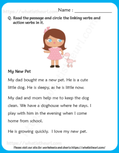 Read the passage and circle the verbs For Grade 3
