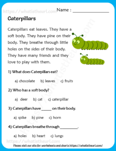 Caterpillars - Reading Comprehension for Grade 2