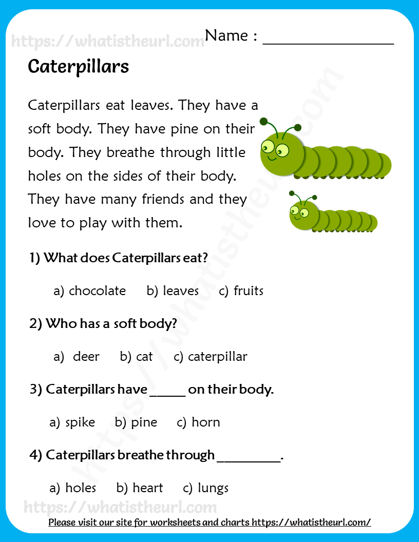 caterpillars-reading-comprehension-for-grade-2-your-home-teacher