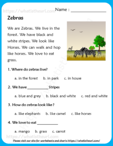 Zebras - Reading Comprehension for Grade 3