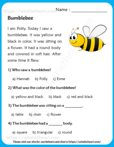 Bumblebee - Reading Comprehension for Grade 3