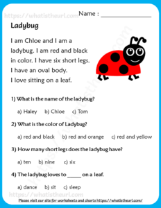 Lady Bug - Reading Comprehension for Grade 3