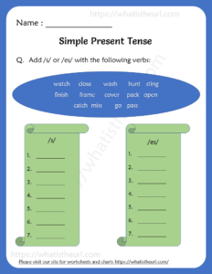 Simple Present Tense Worksheets for Grade 2