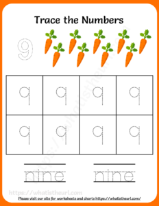 Tracing Numbers and Words Worksheets for Grade 1