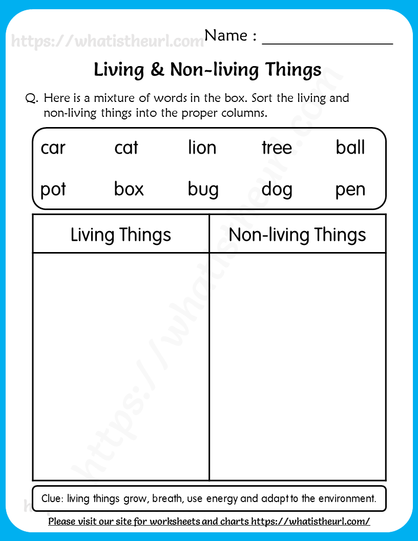 Living and non living things worksheet 2 Your Home Teacher