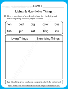 Living and Non-living Things Worksheet for Grade 1