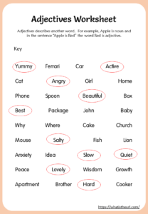 Find and Circle Adjectives Worksheet