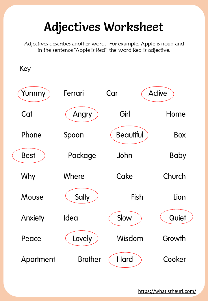 Circle The Adjectives Worksheet For Grade 1