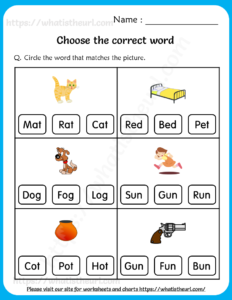 Choose the correct word Worksheets for Grade 1
