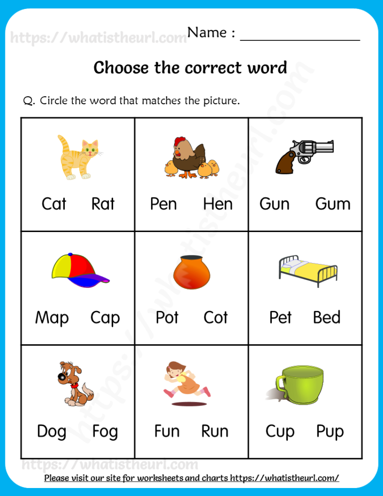 Choose the Correct Word - Worksheets for Grade 1 - Your Home Teacher