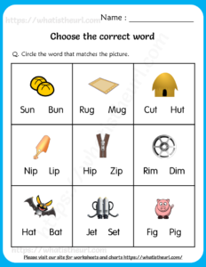 Choose the Correct Word - Worksheets for Grade 1
