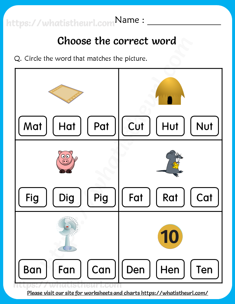 Choose the correct word Worksheets for Grade 1 Your Home Teacher