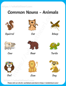 Common Nouns Charts
