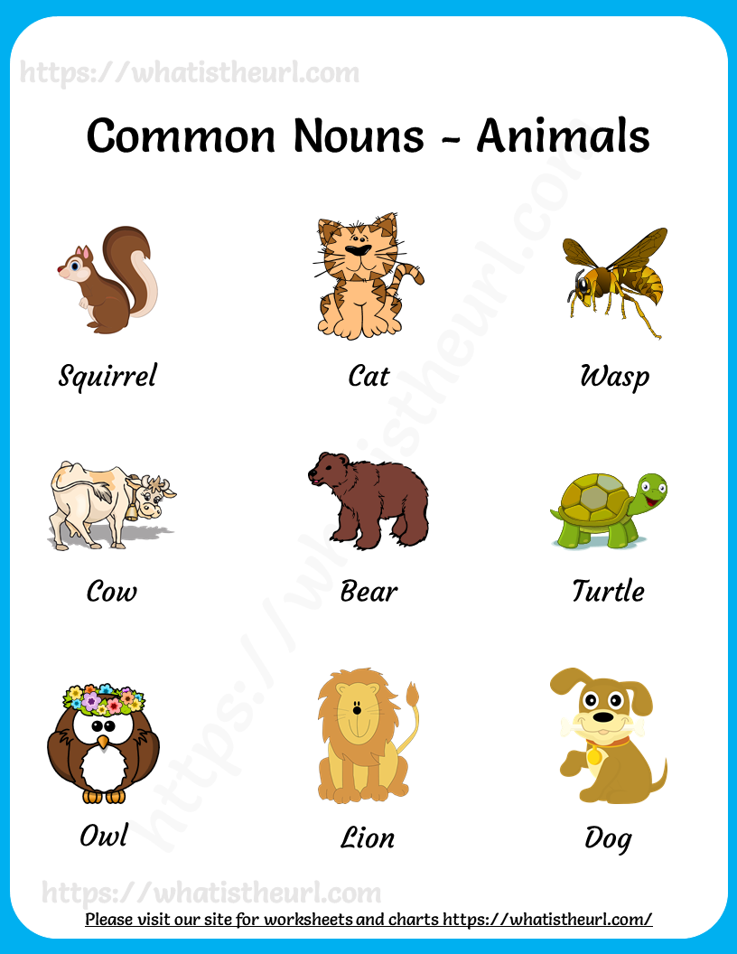 Common Nouns Charts - Your Home Teacher