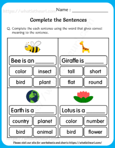 Complete the Sentences Worksheets for Grade 1