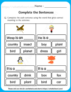 Complete the Sentences Worksheets for Grade 1