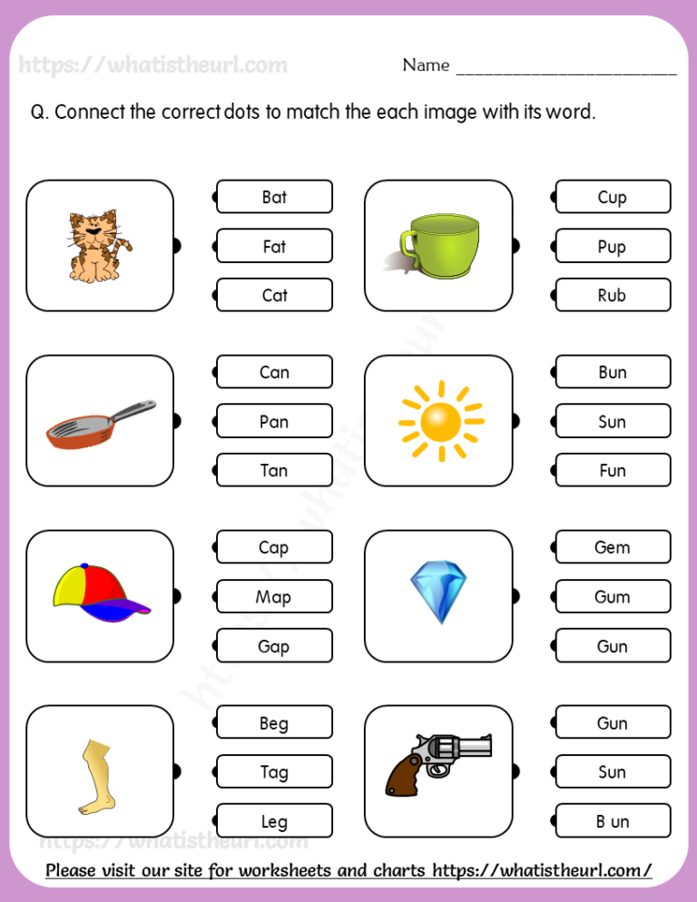 worksheet class 3 english kvs