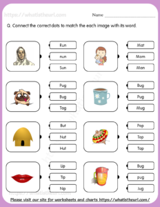 Match the Correct Word - Worksheet For Grade 1