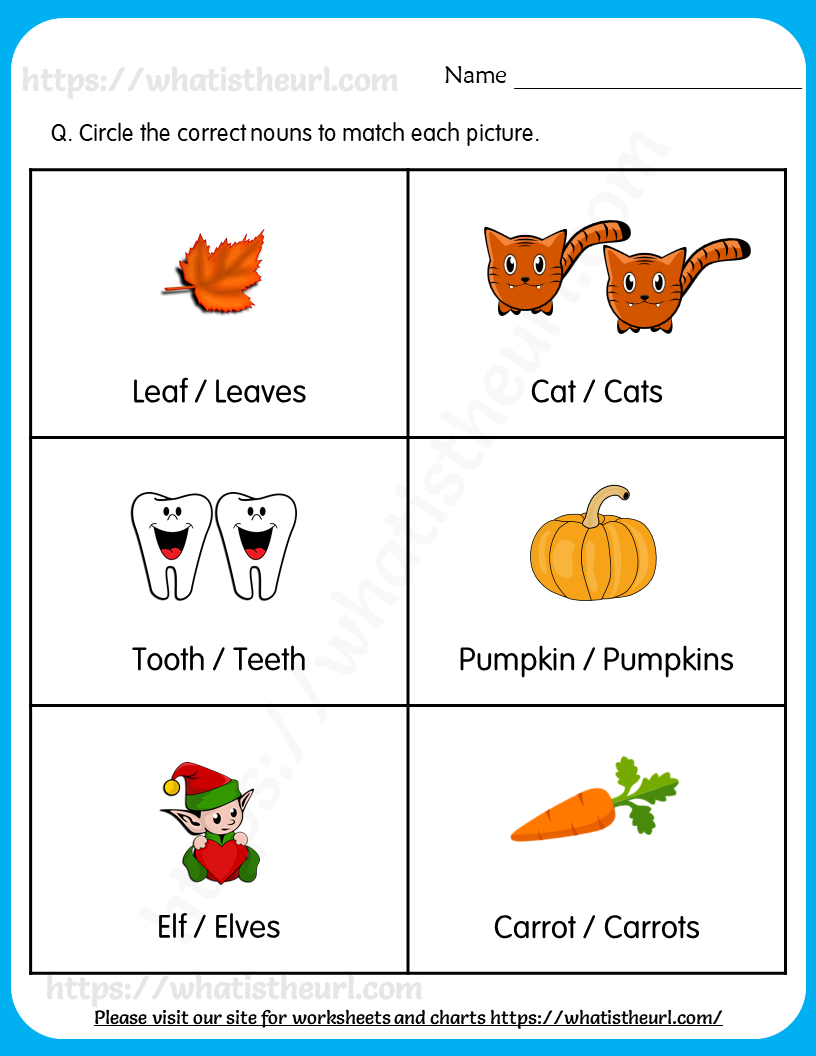 Singular Plural Worksheet For Class 1 With Answers