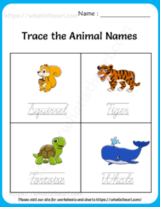 Trace the Animal Names Worksheets for Kids