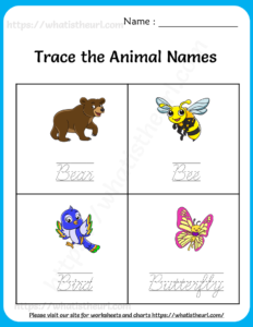 Trace the Animal Names Worksheets for Kids
