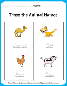 Trace the Animal Names Worksheets for Kids