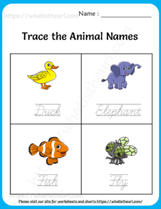 Trace the Animal Names Worksheets for Kids