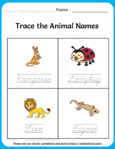 Trace the Animal Names Worksheets for Kids