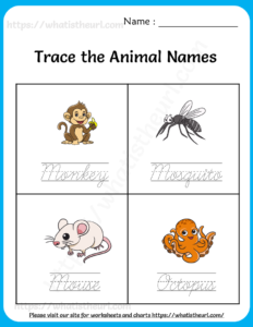Trace the Animal Names Worksheets for Kids