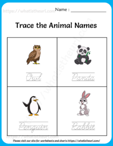 Trace the Animal Names Worksheets for Kids