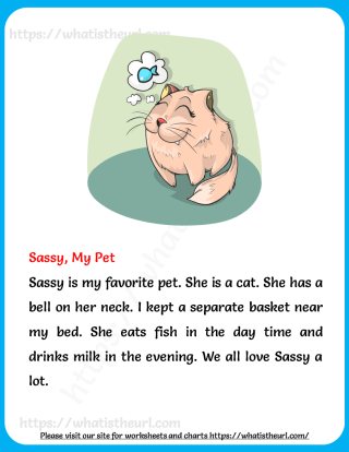 Reading Passages for Grade 2 - my pet cat - Your Home Teacher