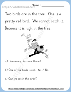 Reading Comprehension Worksheets for Grade 1 - Your Home Teacher
