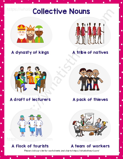 collective nouns with pictures your home teacher