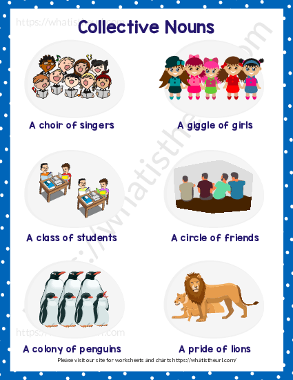 collective-nouns-with-pictures-2-of-5-your-home-teacher