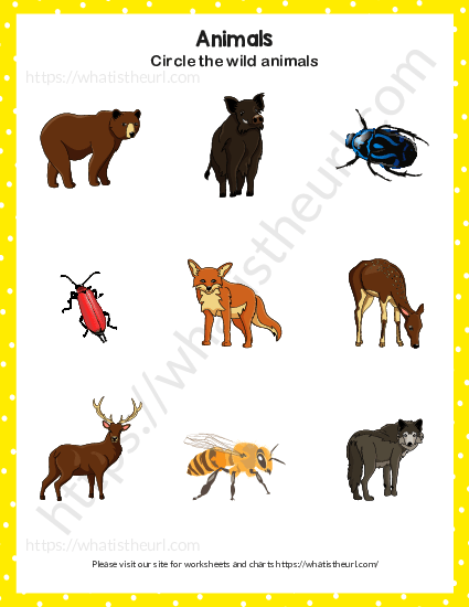 Find and circle the wild animals - 2 of 2 - Your Home Teacher