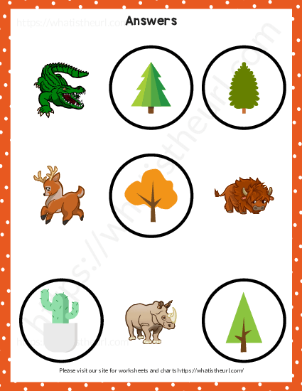 Plant or Animal Worksheet for Kindergarten – Exercise 2 - 4 of 4 - Your  Home Teacher