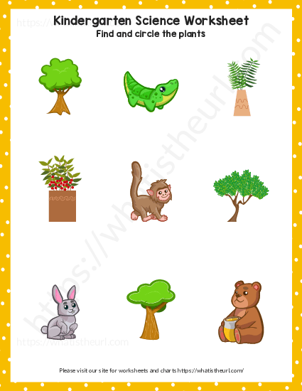 Plant or Animal Worksheet for Kindergarten - Exercise 1 - 3 of 4 - Your  Home Teacher