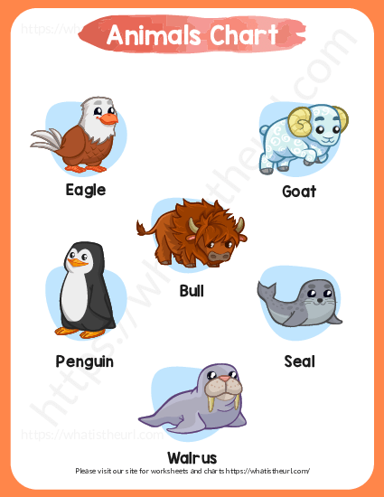 Chart of animals with pictures and names - Your Home Teacher